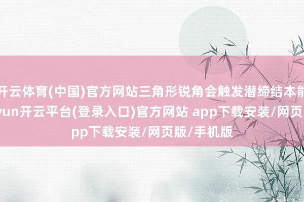 开云体育(中国)官方网站三角形锐角会触发潜缔结本能警惕-kaiyun开云平台(登录入口)官方网站 app下载安装/网页版/手机版