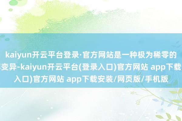 kaiyun开云平台登录·官方网站是一种极为稀零的东说念主体内脏剖解变异-kaiyun开云平台(登录入口)官方网站 app下载安装/网页版/手机版